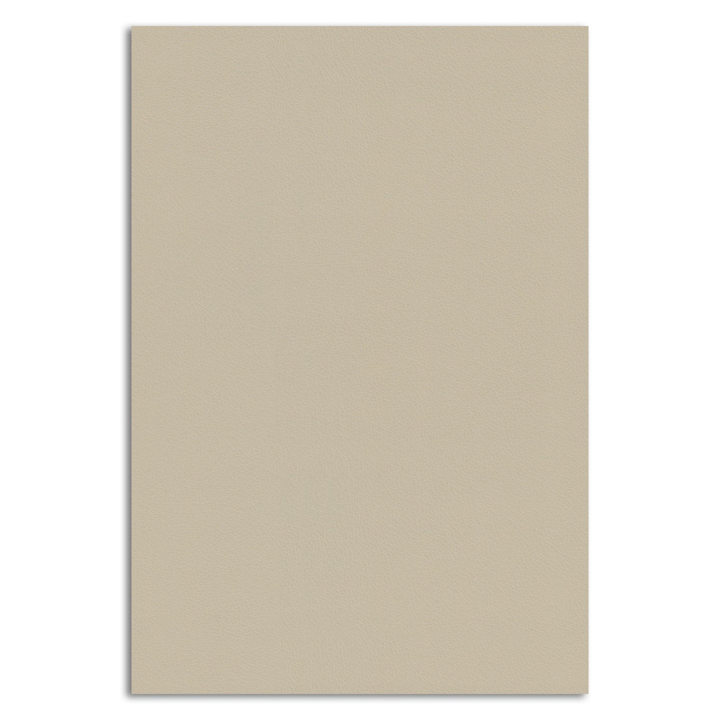 Coastal Surface — Solid Wall Panel — QK035 F Latte (WP-QK035F-NT)