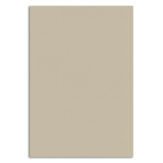 Coastal Surface — Solid Wall Panel — QK035 F Latte (WP-QK035F-NT)
